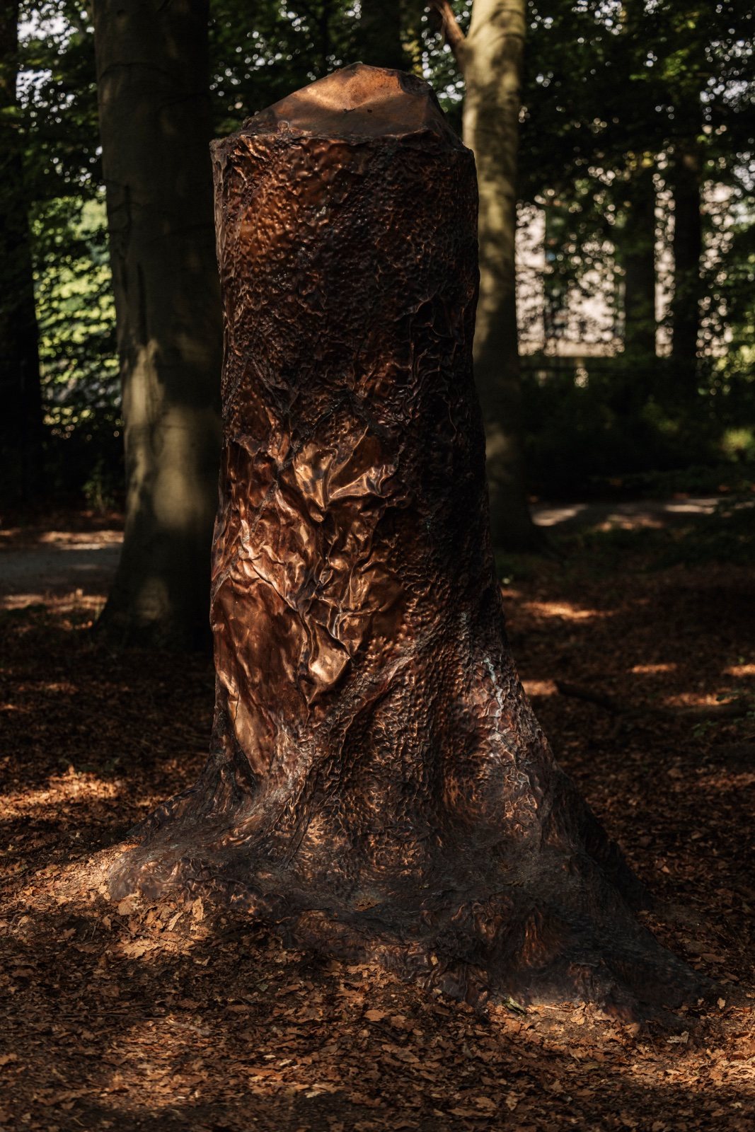 Cosmic Stump