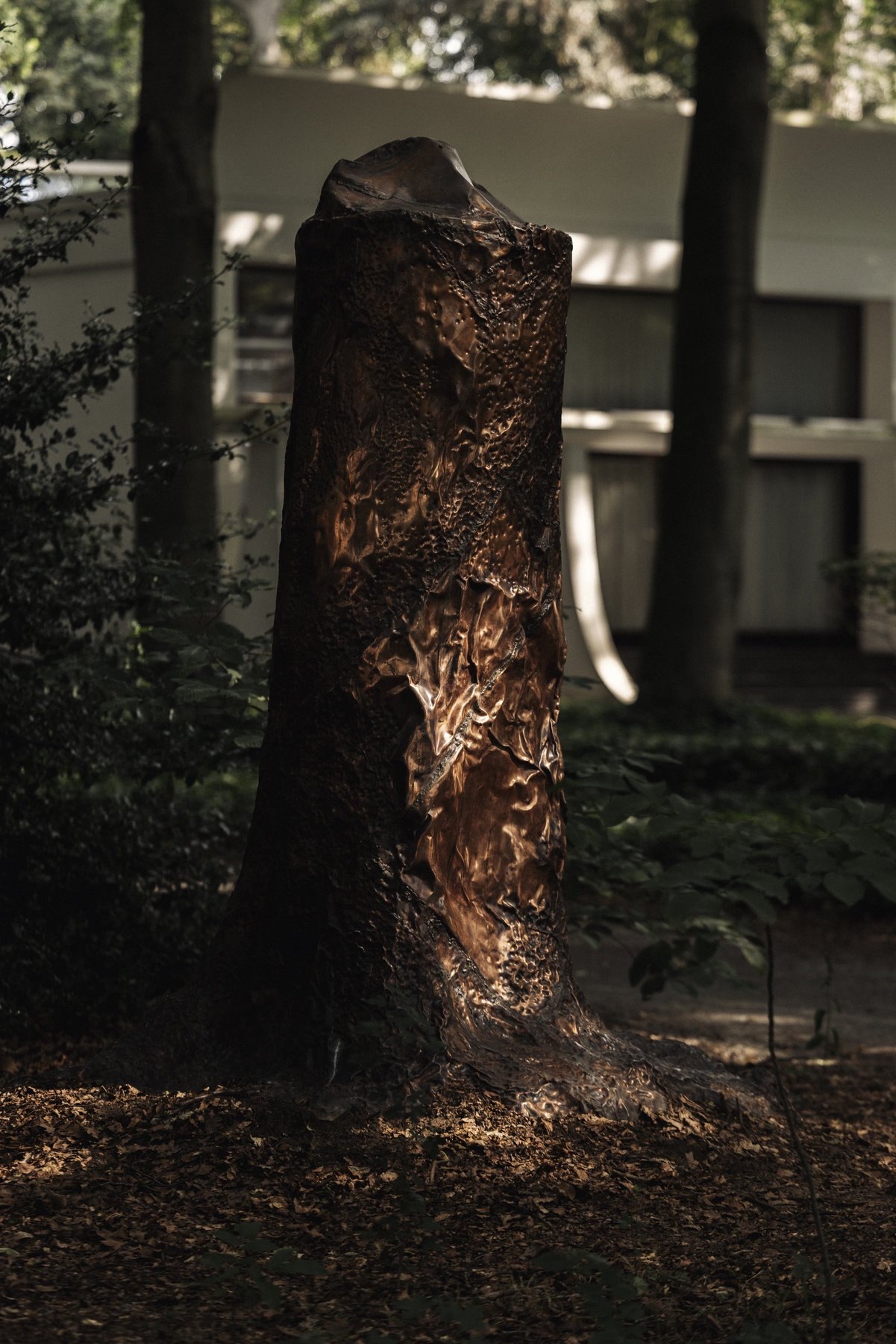 Cosmic Stump
