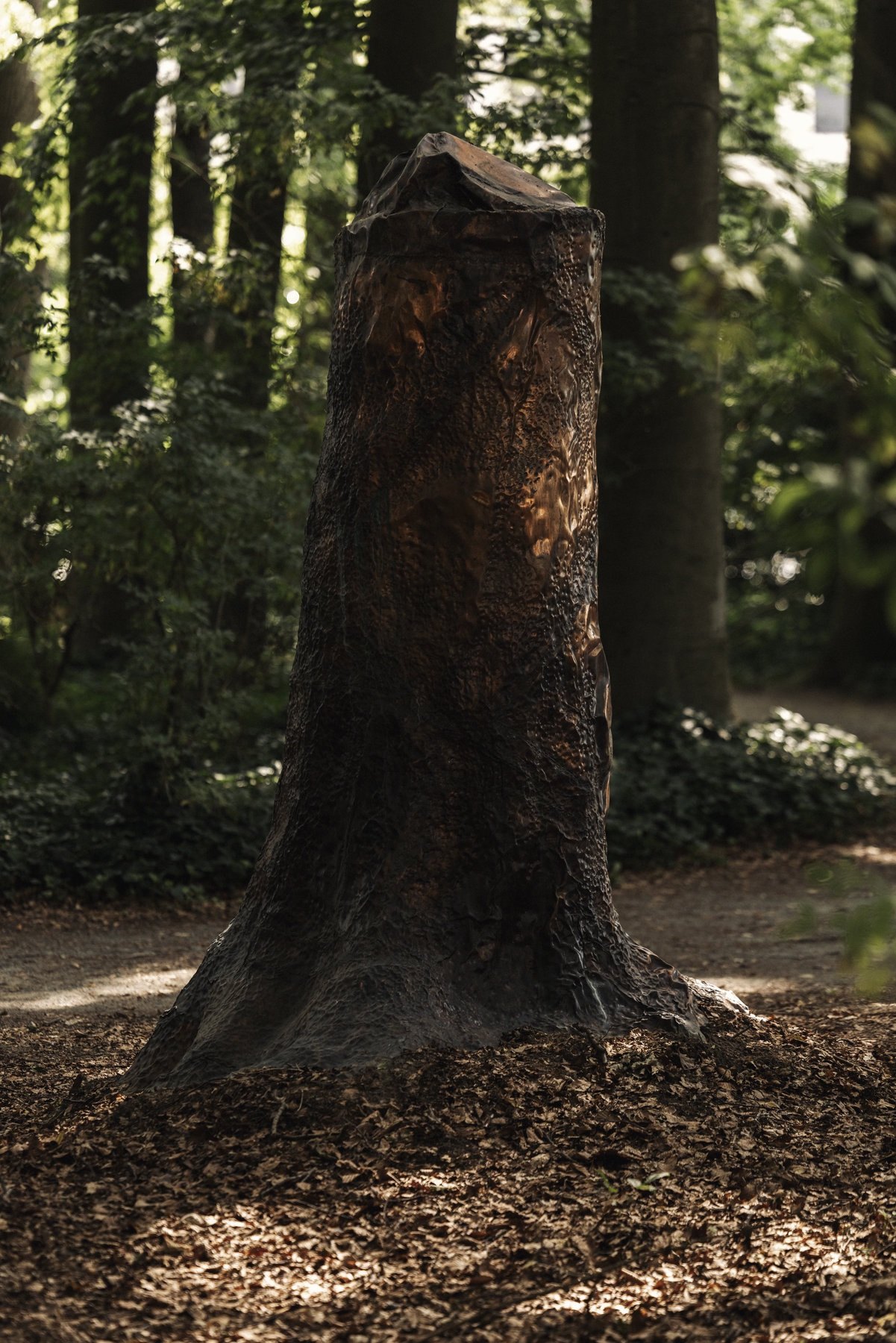 Cosmic Stump