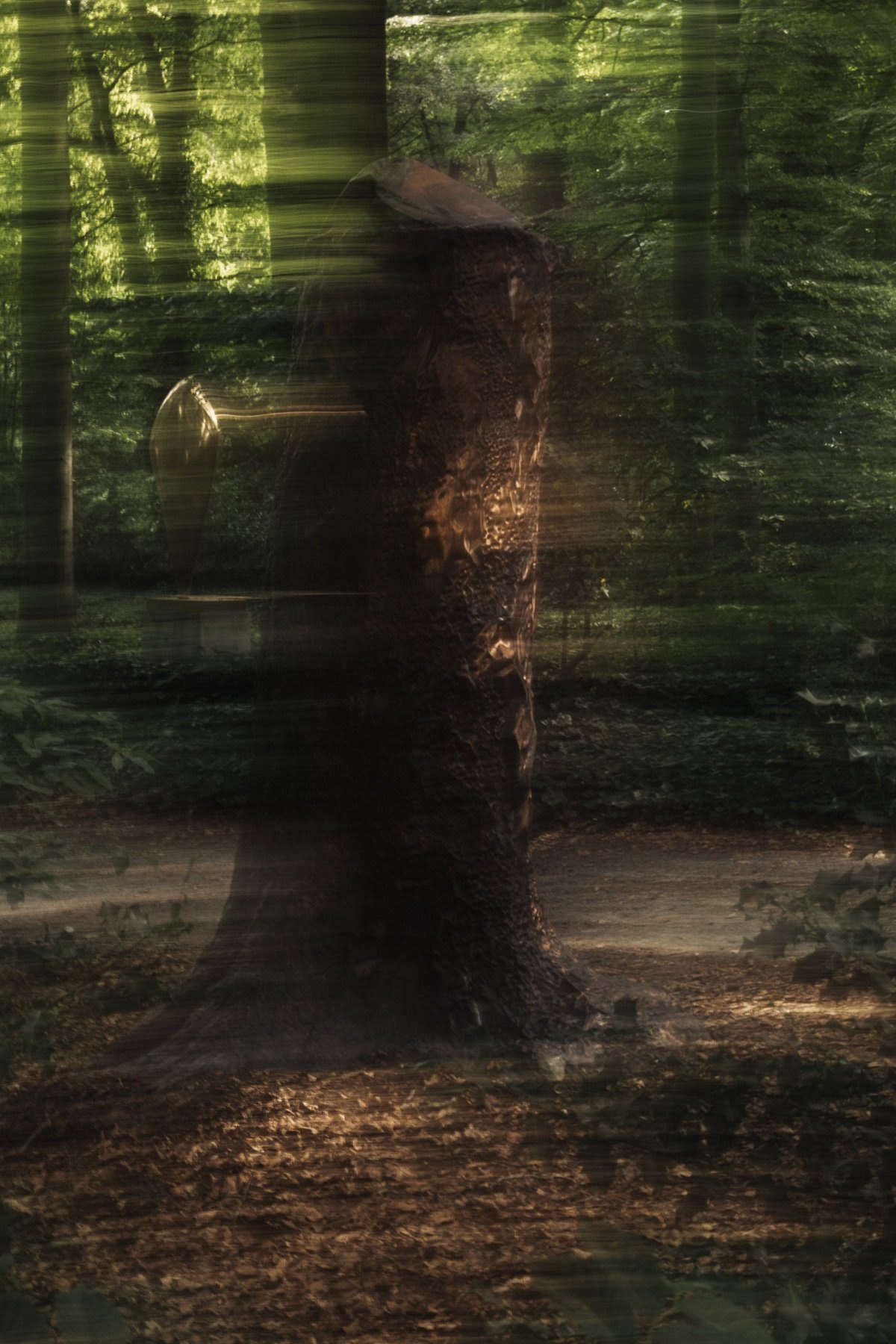 Cosmic Stump
