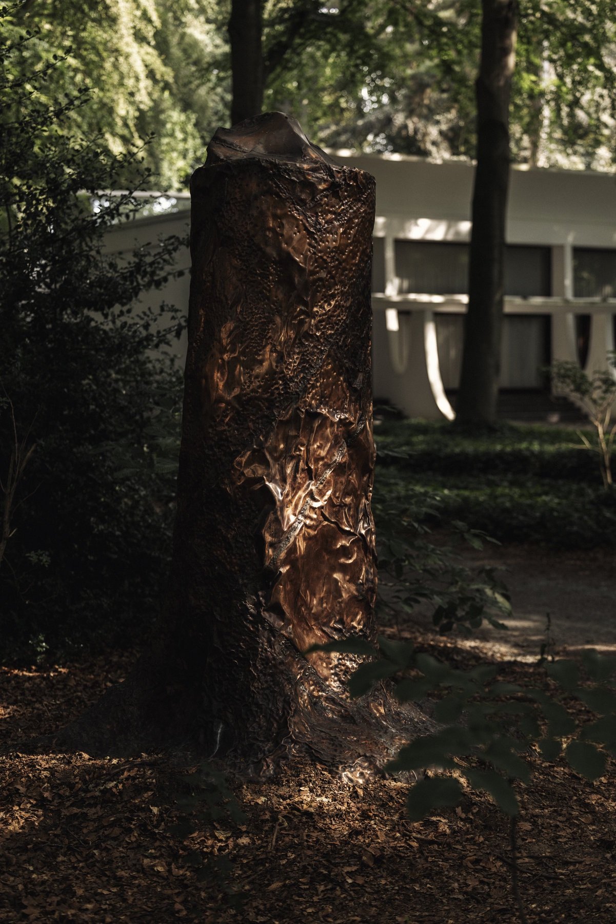Cosmic Stump