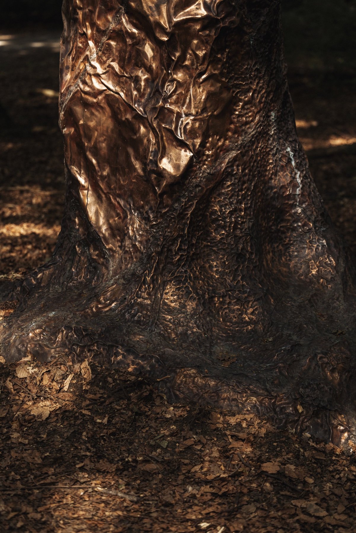 Cosmic Stump