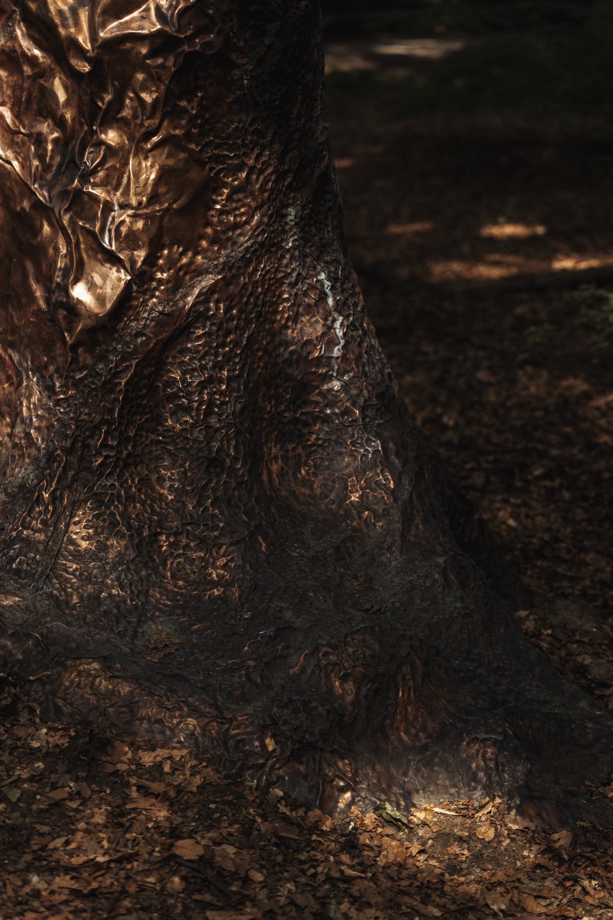 Cosmic Stump