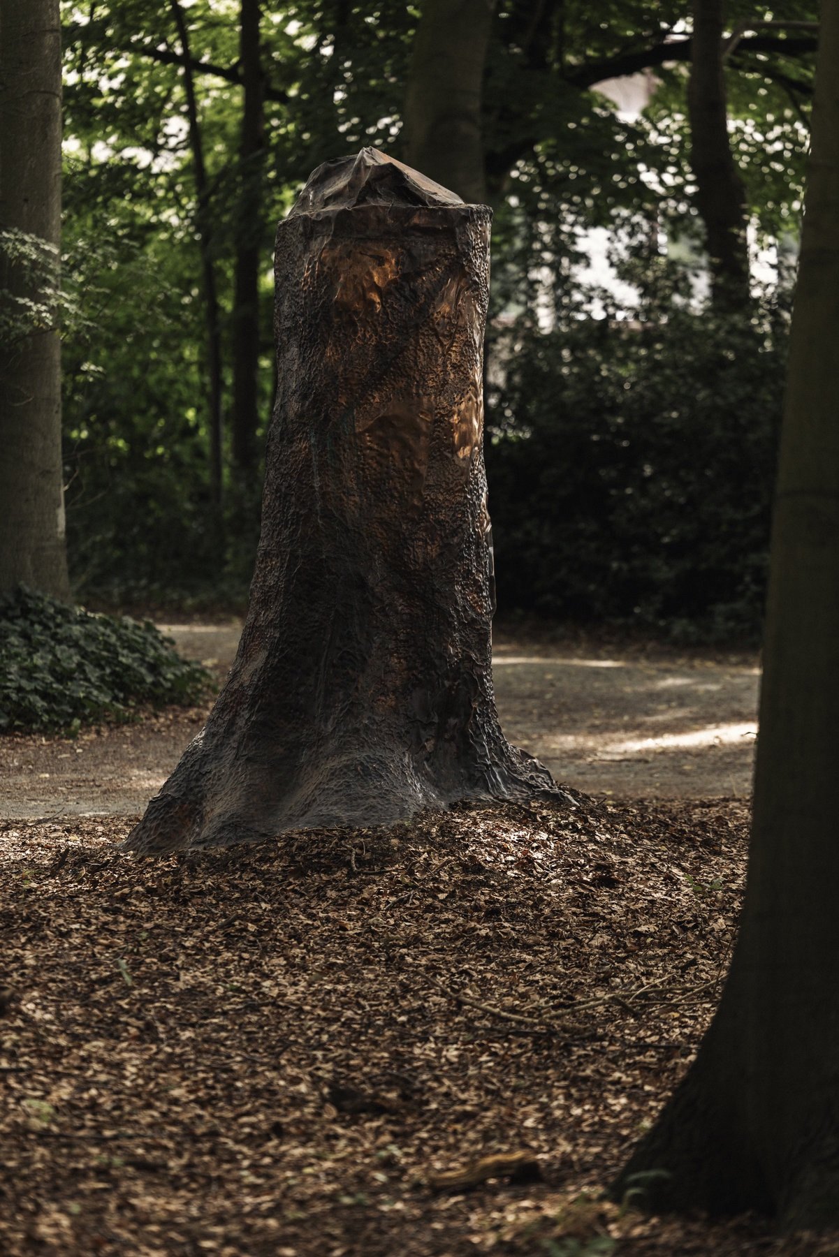 Cosmic Stump