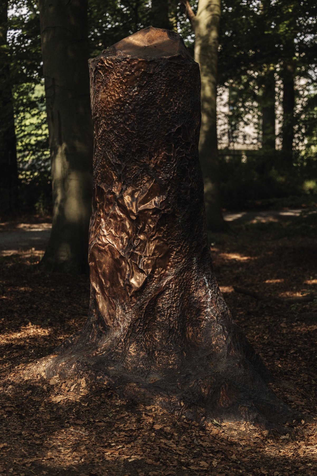 Cosmic Stump