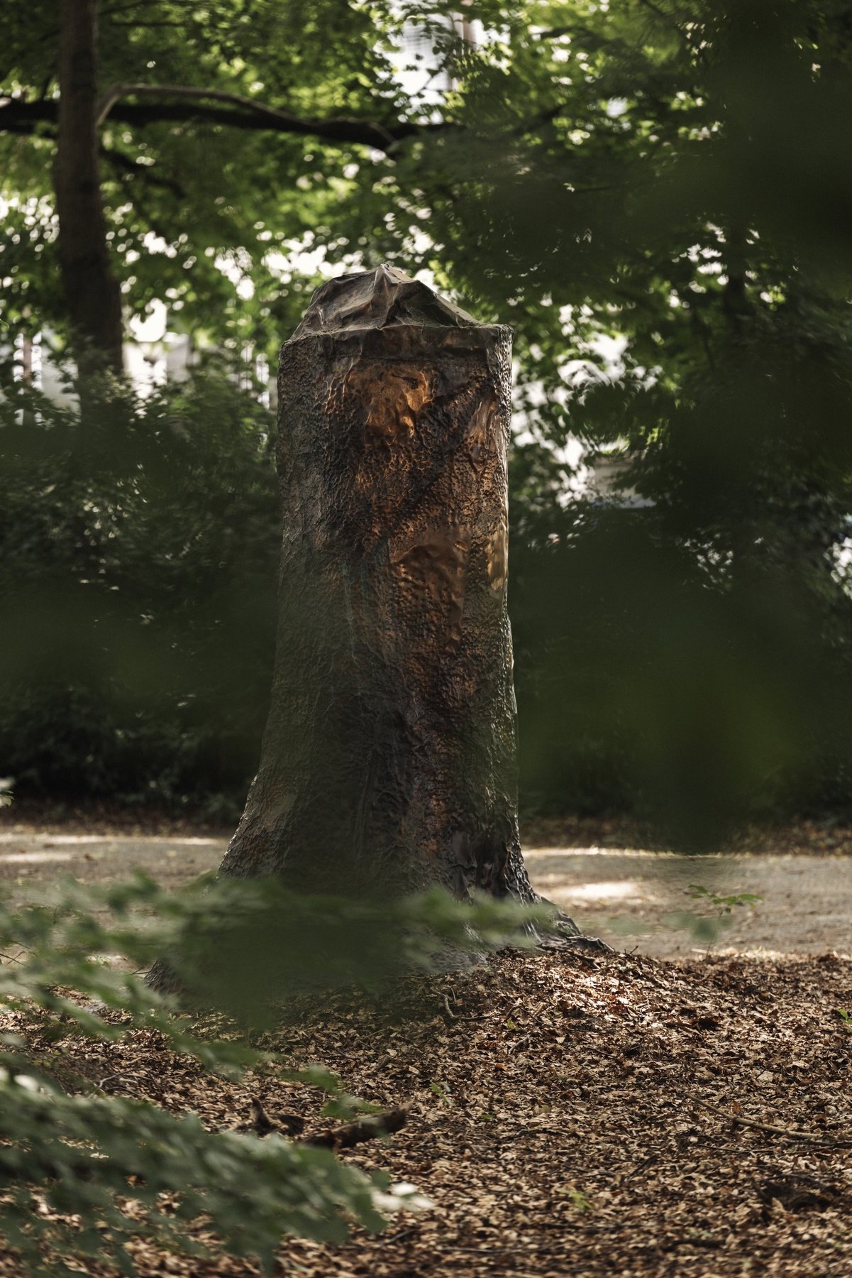 Cosmic Stump