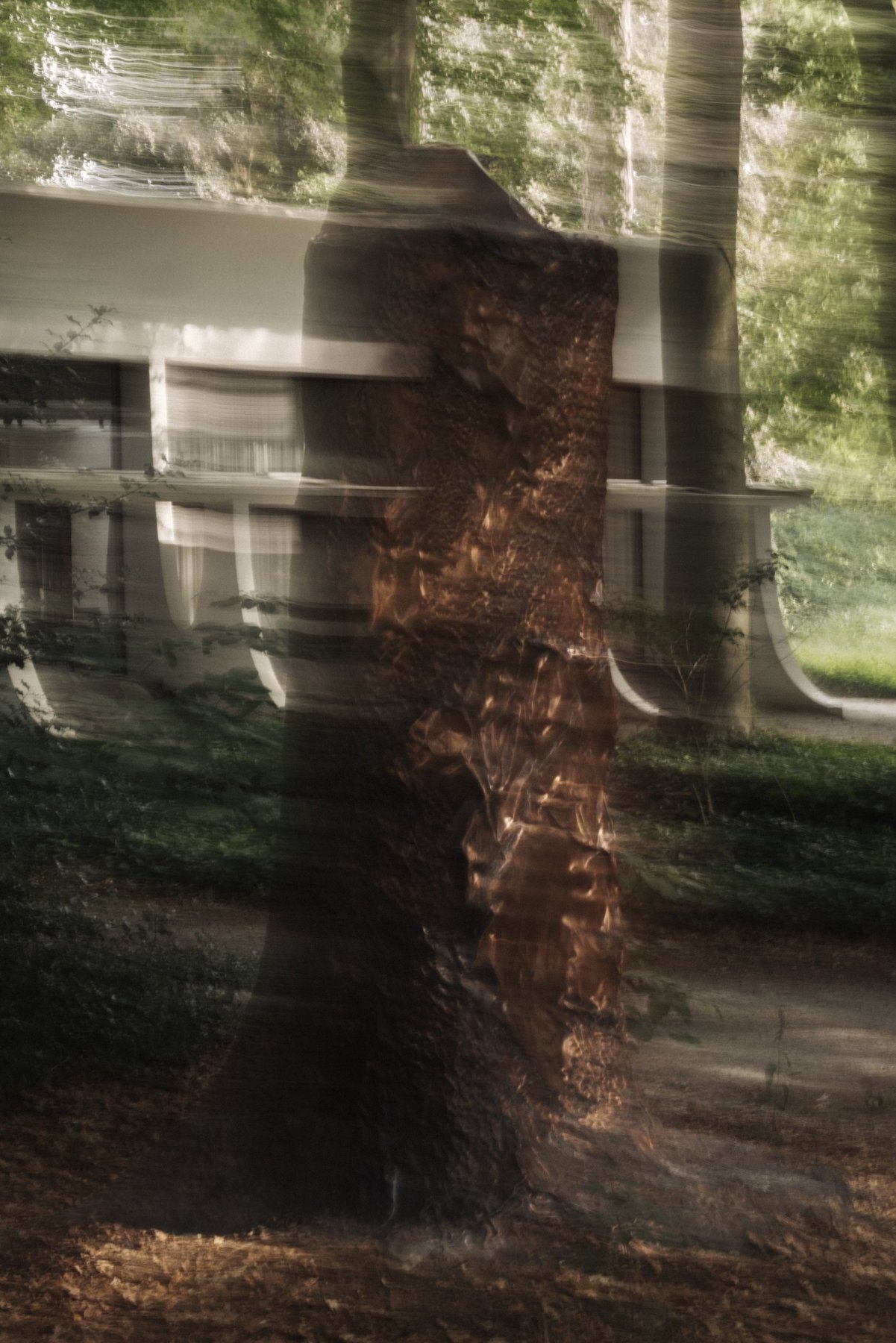 Cosmic Stump